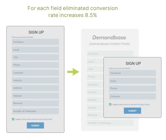 form fields web personalization